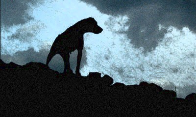 Собаця Баскерштейнов, или Посвящение процентам...