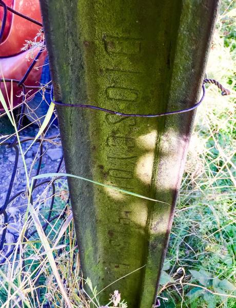 Дурнувати та воровати Дурнувати та воровати