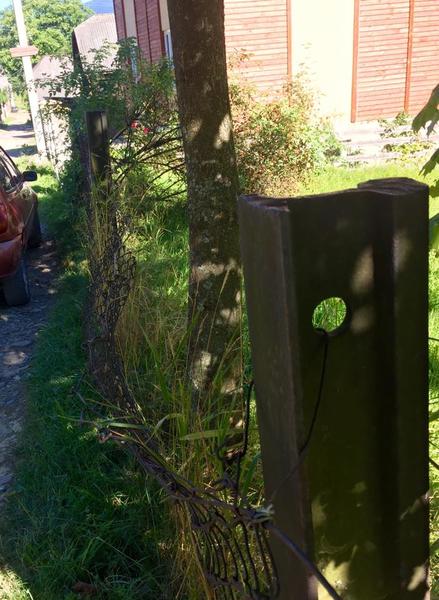 Дурнувати та воровати Дурнувати та воровати