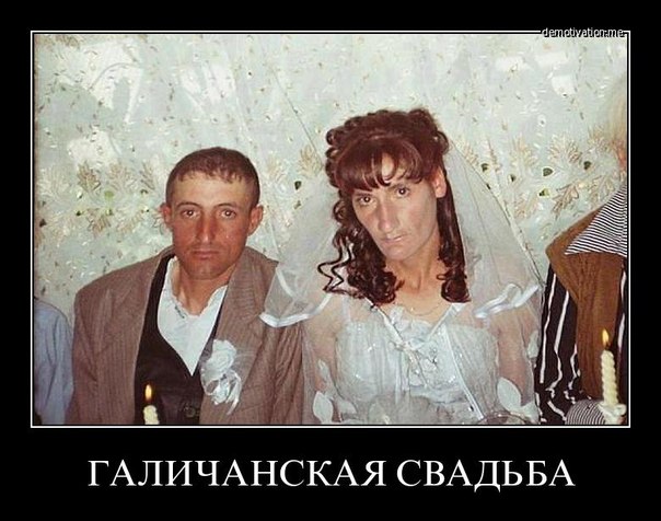 "Мыздобулы" в картинках. Смешных и не очень... 4-09-2016