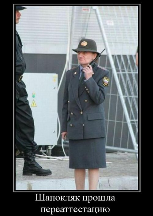 "Мыздобулы" в картинках. Смешных и не очень... 4-09-2016