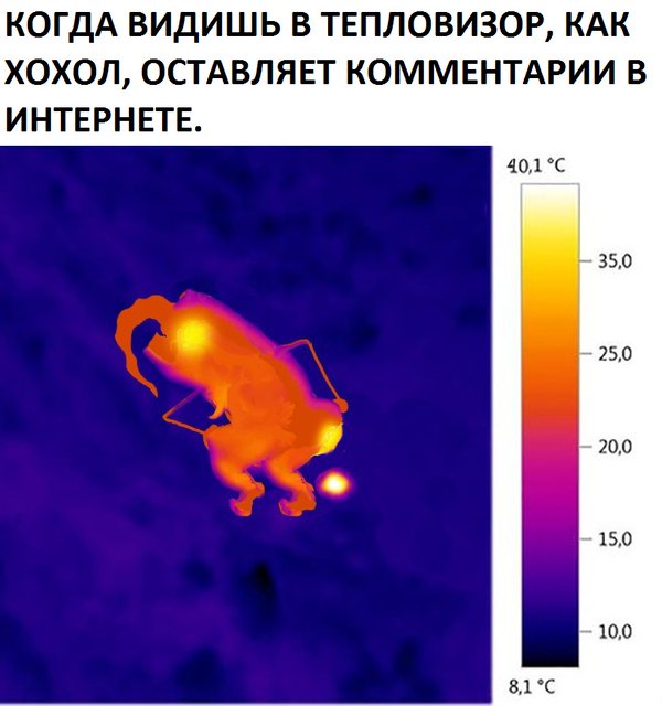 "Мыздобулы" в картинках. Смешных и не очень... 4-09-2016