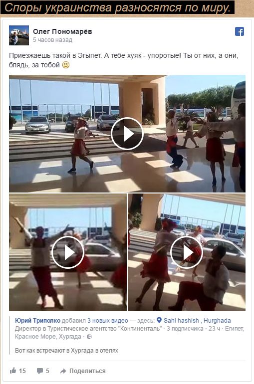 "Мыздобулы" в картинках. Смешных и не очень... 4-09-2016