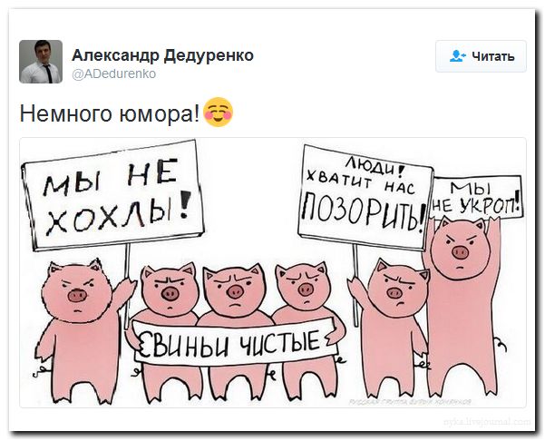 "Мыздобулы" в картинках. Смешных и не очень... 4-09-2016