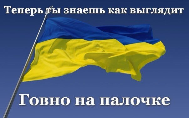 "Мыздобулы" в картинках. Смешных и не очень... 4-09-2016