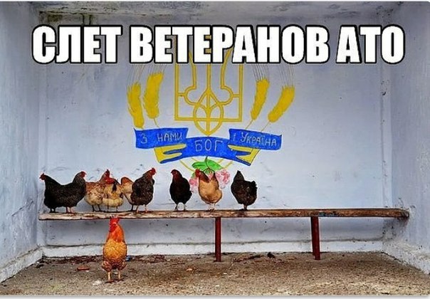 "Мыздобулы" в картинках. Смешных и не очень... 4-09-2016