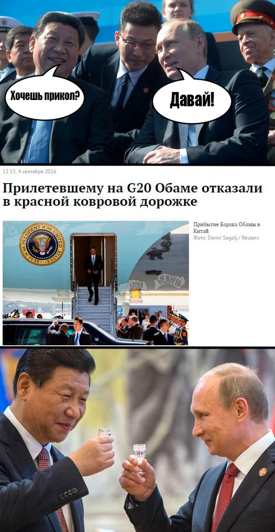 "Мыздобулы" в картинках. Смешных и не очень... 4-09-2016