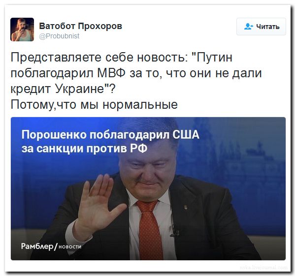 "Мыздобулы" в картинках. Смешных и не очень... 4-09-2016