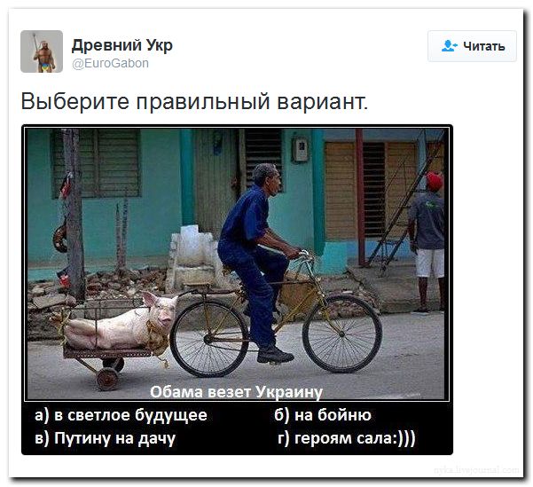 "Мыздобулы" в картинках. Смешных и не очень... 4-09-2016