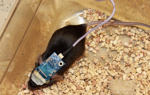 Новая подборка новостей мира науки и техники 04-09-2016