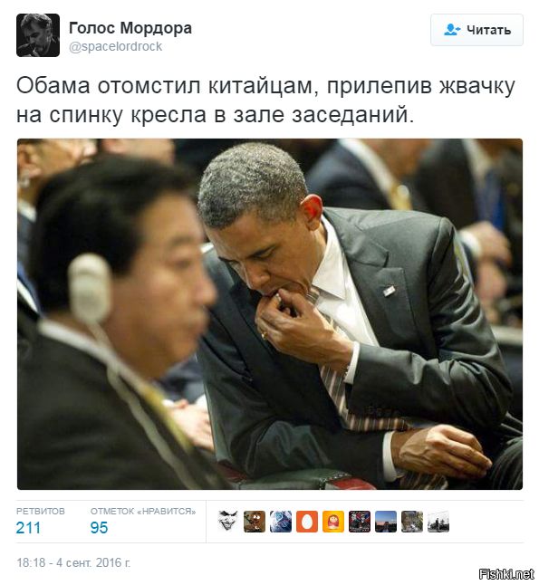 "Мыздобулы" в картинках. Смешных и не очень... 5-09-2016