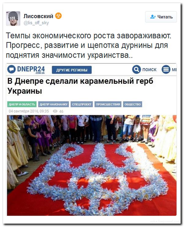 "Мыздобулы" в картинках. Смешных и не очень... 5-09-2016