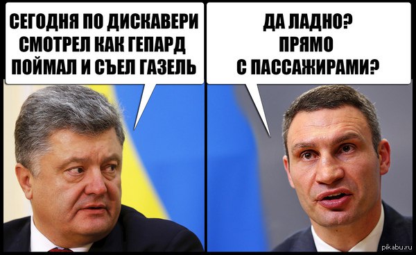 "Мыздобулы" в картинках. Смешных и не очень... 5-09-2016