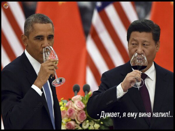 "Мыздобулы" в картинках. Смешных и не очень... 5-09-2016