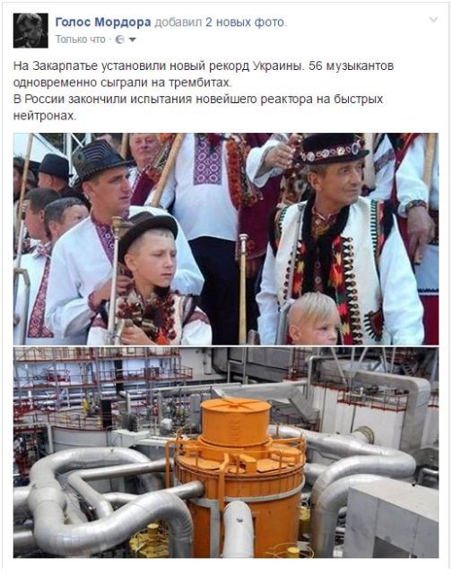 "Мыздобулы" в картинках. Смешных и не очень... 5-09-2016