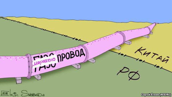 "Мыздобулы" в картинках. Смешных и не очень... 5-09-2016