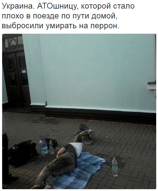 Потерь НЕТ - терять некого! Потери укрофашистов с 1 по 31 августа (Фото)