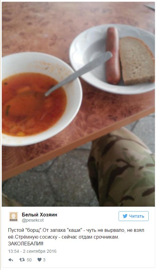 Потерь НЕТ - терять некого! Потери укрофашистов с 1 по 31 августа (Фото)