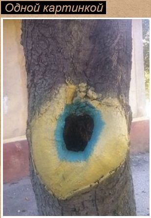 "Мыздобулы" в картинках. Смешных и не очень... 07-09-2016 (2) "Мыздобулы" в картинках. Смешных и не очень... 07-09-2016 (2)