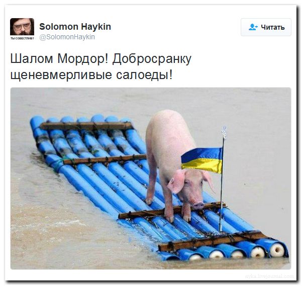 "Мыздобулы" в картинках. Смешных и не очень... 07-09-2016 (2) "Мыздобулы" в картинках. Смешных и не очень... 07-09-2016 (2)