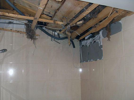 На Харьковщине из гранатомета обстреляли частный дом На Харьковщине из гранатомета обстреляли частный дом