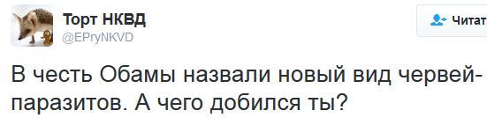 "Мыздобулы" в картинках. Смешных и не очень... 09-09-2016 