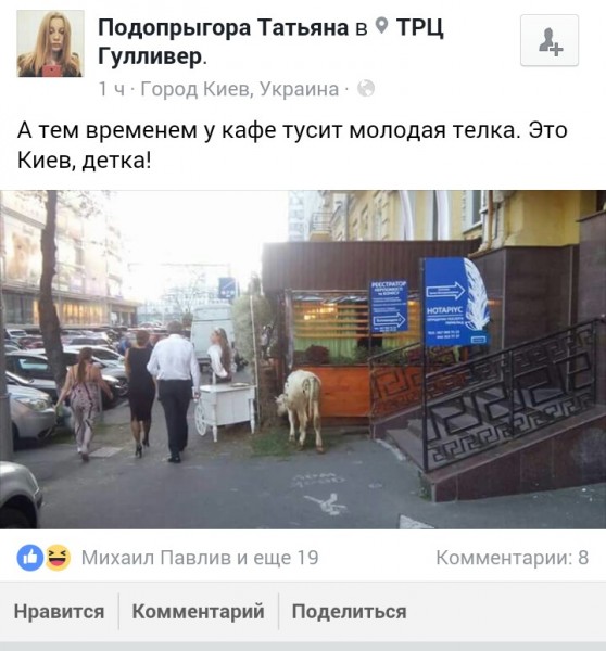 "Мыздобулы" в картинках. Смешных и не очень... 09-09-2016 