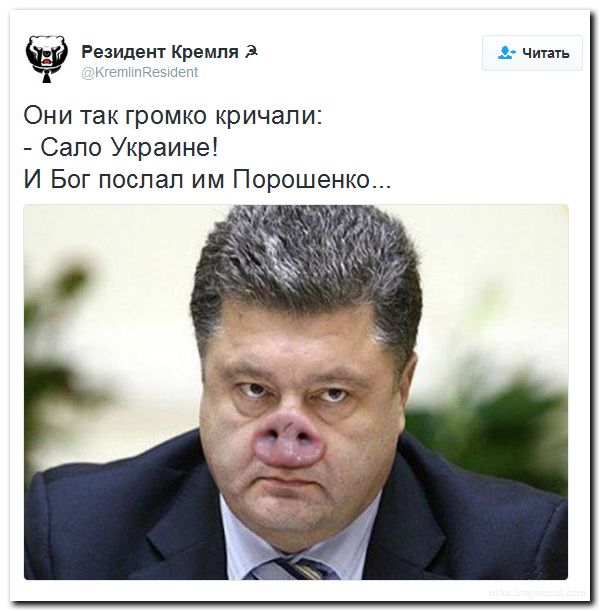 "Мыздобулы" в картинках. Смешных и не очень... 09-09-2016 