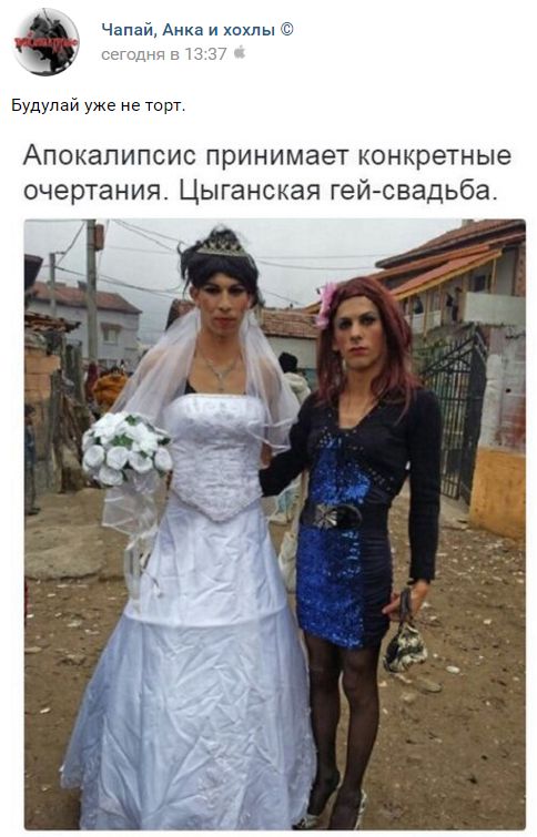 "Мыздобулы" в картинках. Смешных и не очень... 11-09-2016 "Мыздобулы" в картинках. Смешных и не очень... 11-09-2016