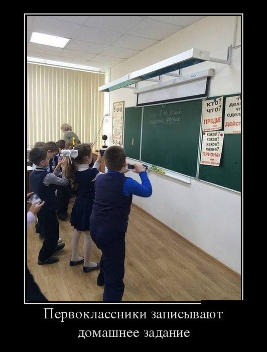 "Мыздобулы" в картинках. Смешных и не очень... 11-09-2016 "Мыздобулы" в картинках. Смешных и не очень... 11-09-2016