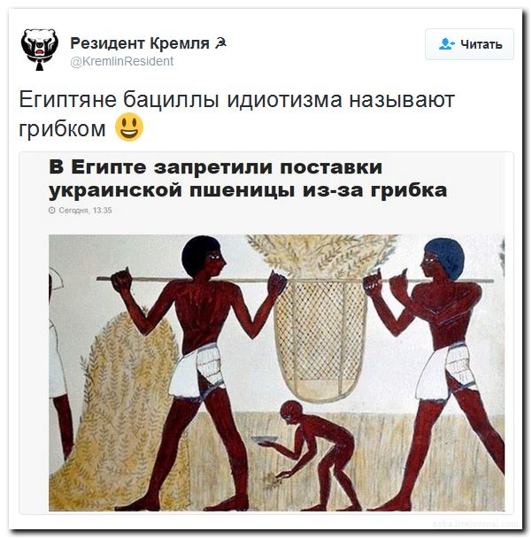 "Мыздобулы" в картинках. Смешных и не очень... 11-09-2016 "Мыздобулы" в картинках. Смешных и не очень... 11-09-2016