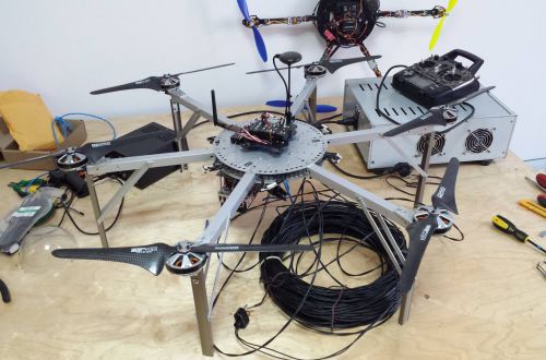 А когда-то они умели летать ©