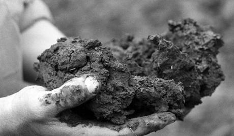 Совсем как во время фашистской оккупации: На Днепропетровщине чернозем из заповедной зоны вывозят на продажу.