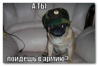 Афоризмы Офицеров Советской Армии ч.1.