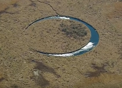 Подвижный круглый остров обнаружили в аргентинских болотах