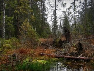 Лесная нечисть или боитесь ли вы лешего? Лесная нечисть или боитесь ли вы лешего?