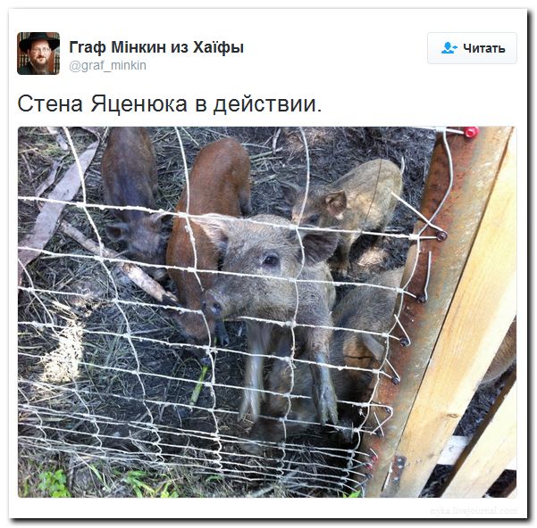 "Мыздобулы" в картинках. Смешных и не очень... 13-09-2016 (2)