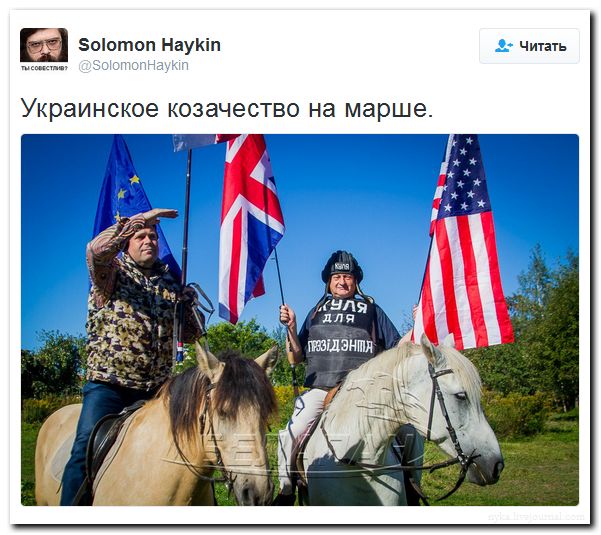 "Мыздобулы" в картинках. Смешных и не очень... 13-09-2016 (2)