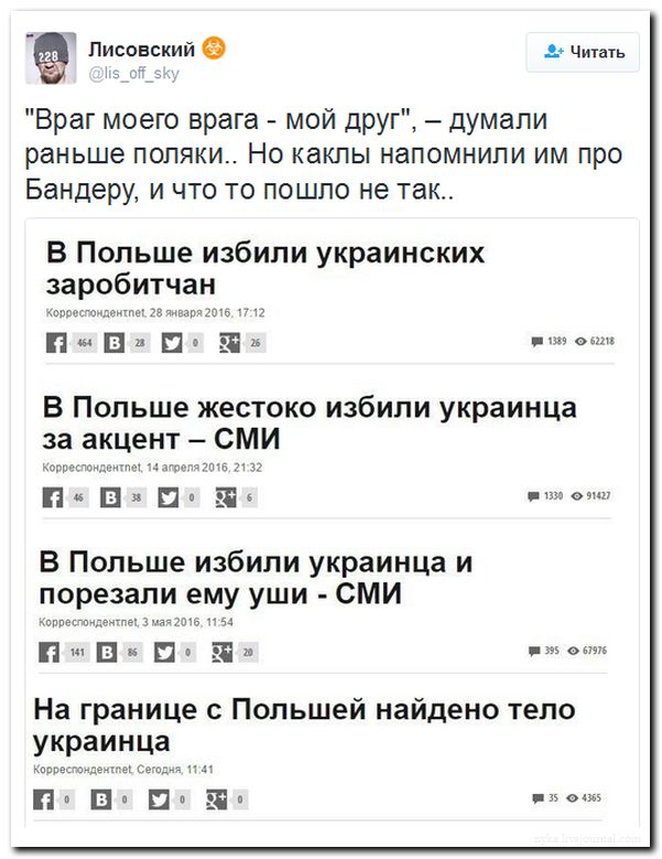 "Мыздобулы" в картинках. Смешных и не очень... 13-09-2016 (2)