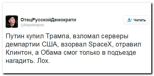 "Мыздобулы" в картинках. Смешных и не очень... 14-09-2016