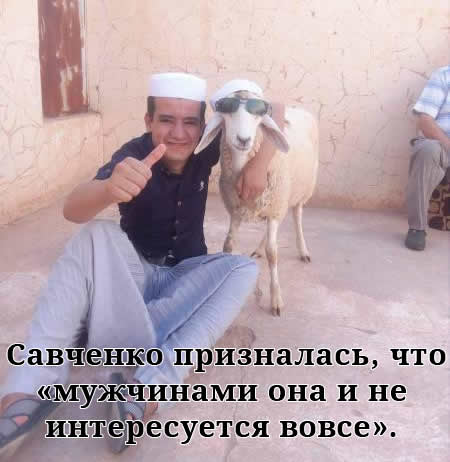 "Мыздобулы" в картинках. Смешных и не очень... 14-09-2016