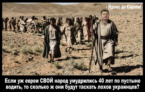 "Мыздобулы" в картинках. Смешных и не очень... 14-09-2016