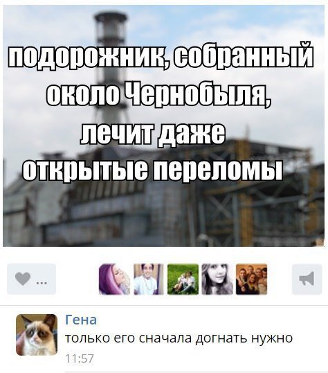 "Мыздобулы" в картинках. Смешных и не очень... 14-09-2016