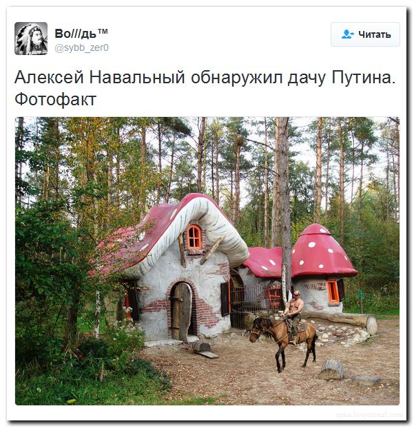 "Мыздобулы" в картинках. Смешных и не очень... 16-09-2016