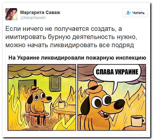 "Мыздобулы" в картинках. Смешных и не очень... 16-09-2016