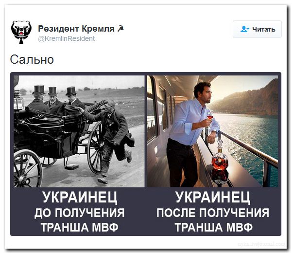 "Мыздобулы" в картинках. Смешных и не очень... 16-09-2016