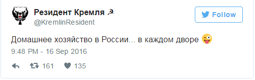 Это вам не свиней выращивать: Домашнее хозяйство в России... в каждом дворе Это вам не свиней выращивать: Домашнее хозяйство в России... в каждом дворе