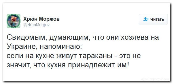 Подборка картинок.