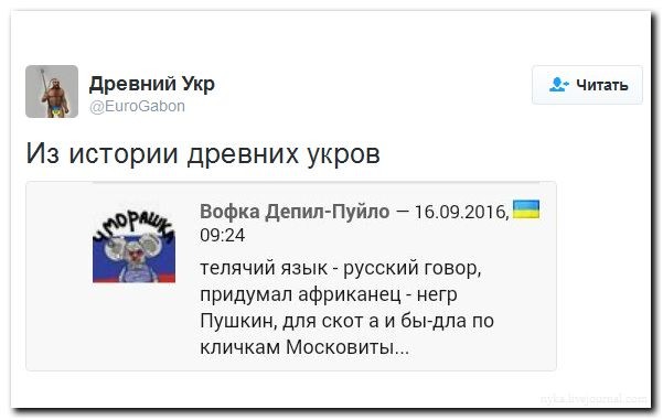 Подборка картинок.