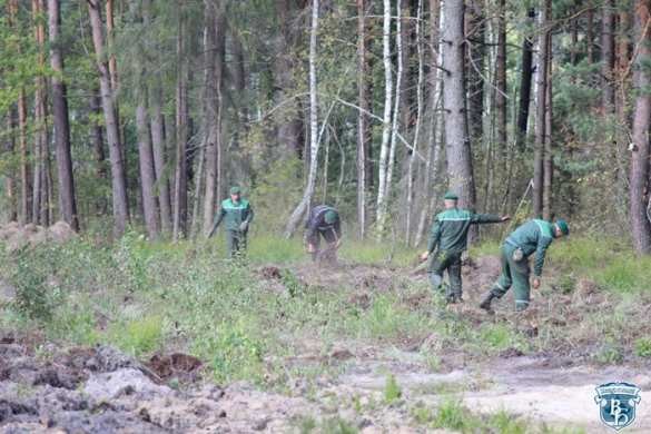 Кажется, они что-то знают: на границе с Украиной белорусские пограничники строят стену